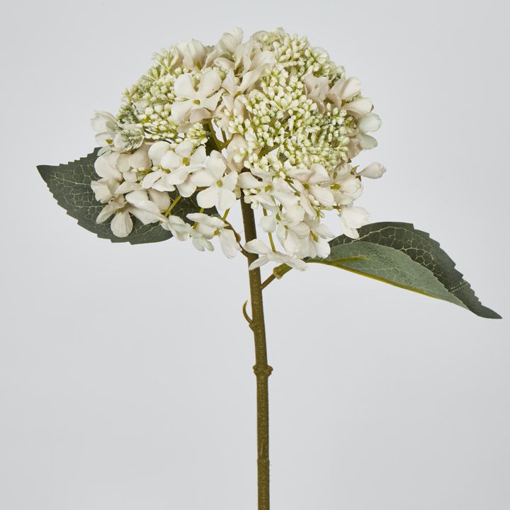 White Short Stem Hydrangea