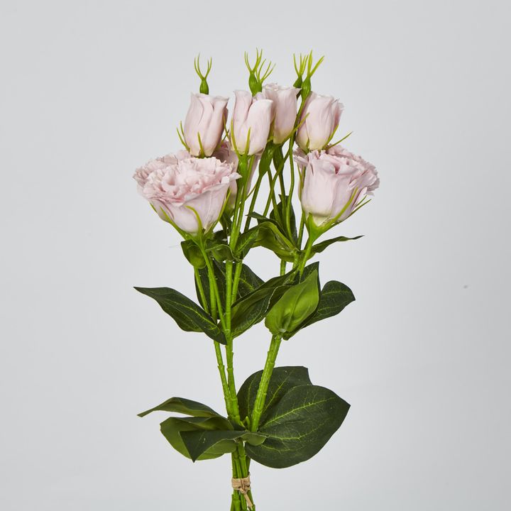 Light Pink Lisianthus bundle by 5 Flower and Bud