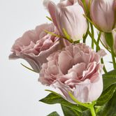 Light Pink Lisianthus bundle by 5 Flower and Bud