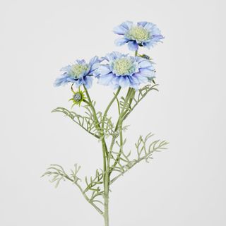 Light Blue Scabiosa 3 Flowers and 2 Buds