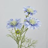 Light Blue Scabiosa 3 Flowers and 2 Buds