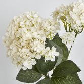 White Hydrangea Bush x 7