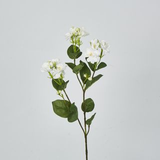 White Jasmine Spray