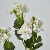 White Jasmine Spray