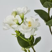 White Jasmine Spray