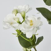 White Jasmine Spray 60cm