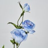 Lisianthus Spray