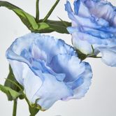 Lisianthus Spray