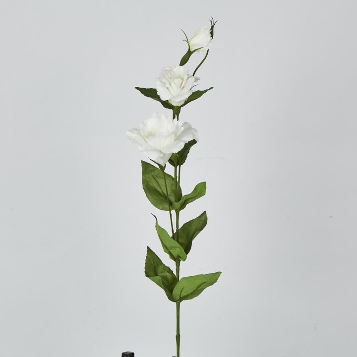 White Lisianthus Spray