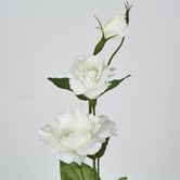 White Lisianthus Spray