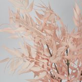 Bamboo Leaf Bush Blush Pink