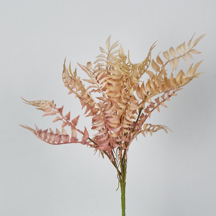 Cream Pink Fern Bush