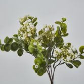 Flowering Bush