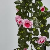 Hanging Roses