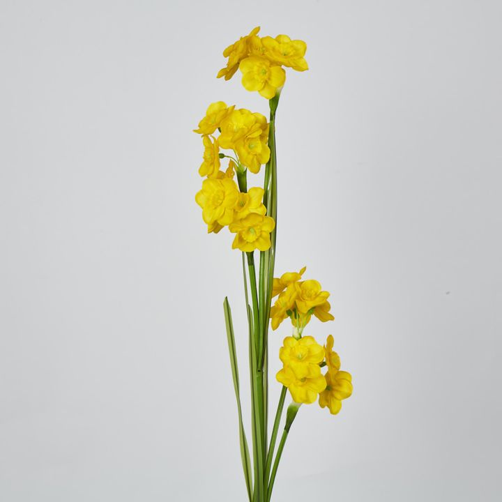 Daffodil Spray