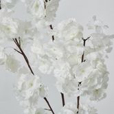 White Blossom (Increments of 2)