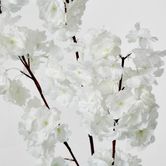 White Blossom (Increments of 2)