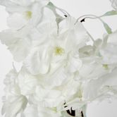 White Blossom (Increments of 2)