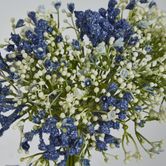 Blue Gyp Bush Bouquet