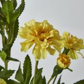 Yellow Marigold Spray 6 flowers 3 buds