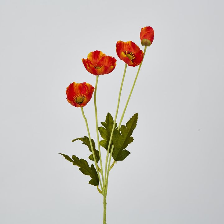 Orange Poppy Spray 3 Flowers 1 bud