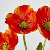 Orange Poppy Spray 3 Flowers 1 bud