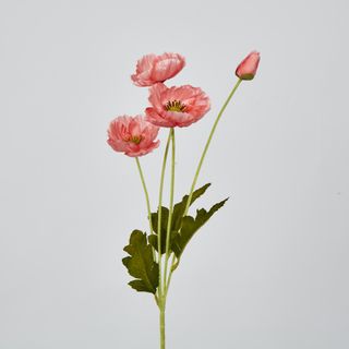 Peach Poppy Spray 3 Flowers 1 bud