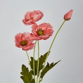 Peach Poppy Spray 3 Flowers 1 bud