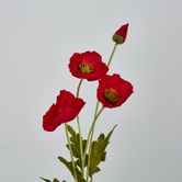 Red Poppy Spray 3 Flowers 1 bud