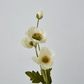 White Poppy Spray 3 Flowers 1 bud