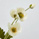 White Poppy Spray 3 Flowers 1 bud