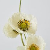 White Poppy Spray 3 Flowers 1 bud