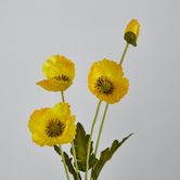 Yellow Poppy Spray 3 Flowers 1 bud