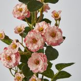 Pink Burma Rose Spray