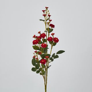 Red Burma Rose Spray