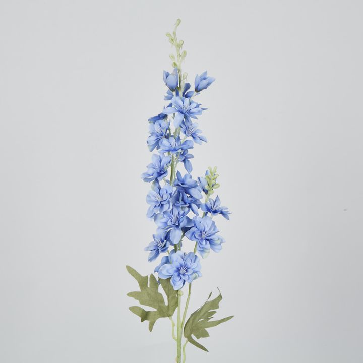 Slate Blue Delphinium