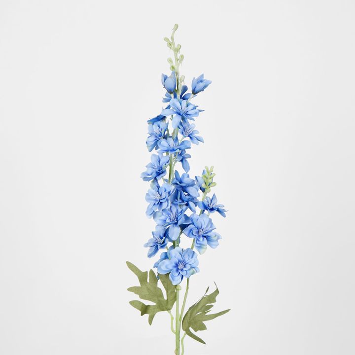 Slate Blue Delphinium