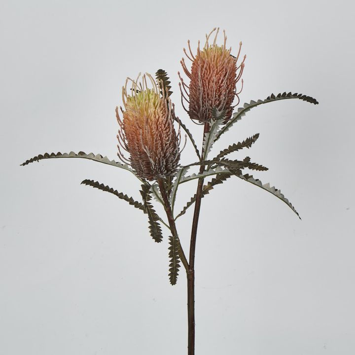 Orange Banksia Spray