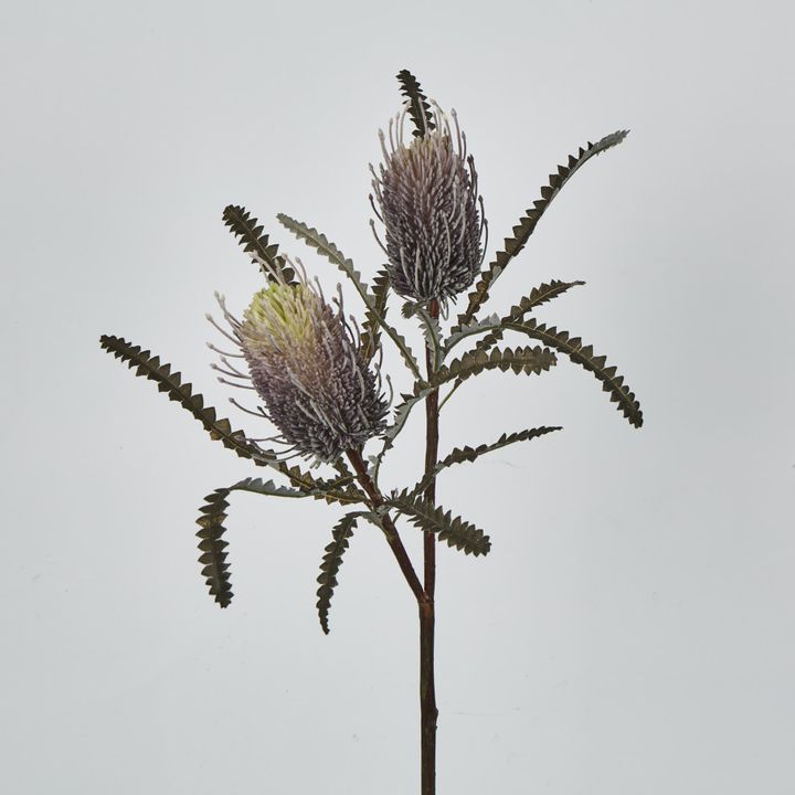 Dark Purple Banksia Spray