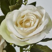 Cream White Rose Spray