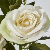 Cream White Rose Spray