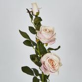 Light Pink Rose Spray