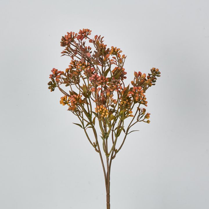 Badassi Bush with Peach Flowers