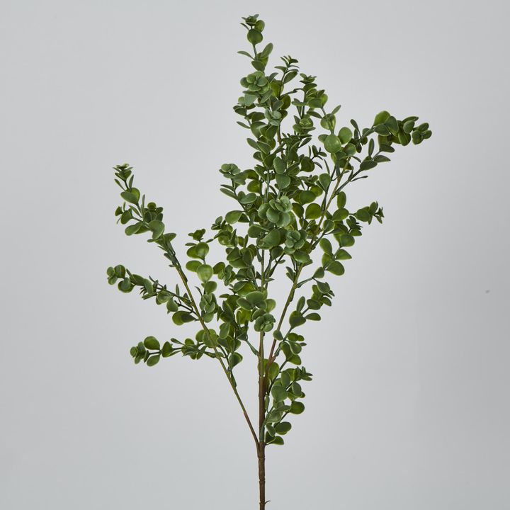 Light Green Boxwood Spray