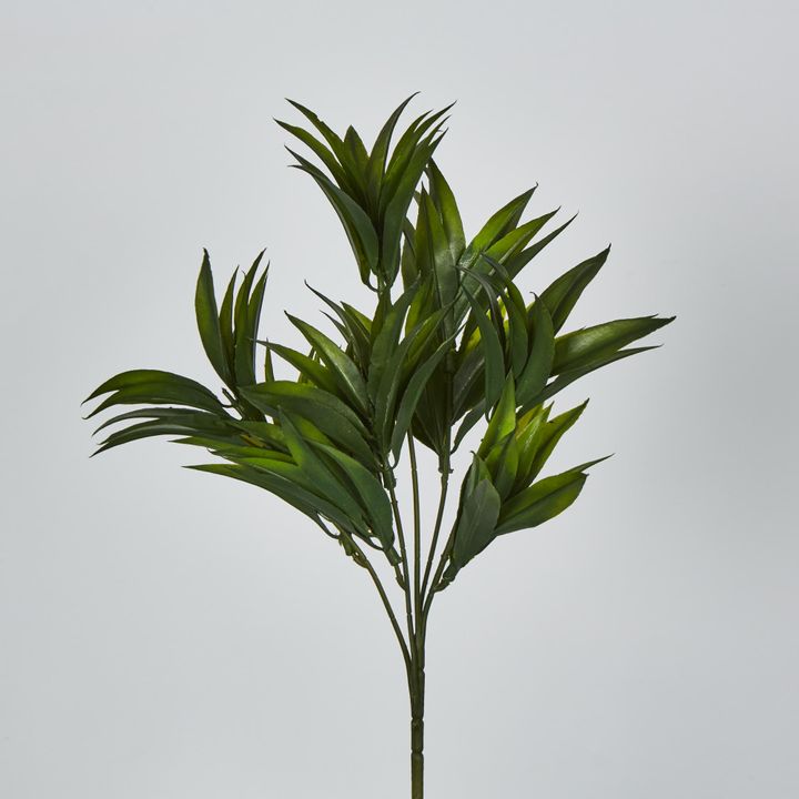 Green Pine Leaf Spray