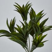 Green Pine Leaf Spray