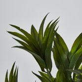 Green Pine Leaf Spray