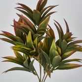 Green Pink Pine Leaf Spray