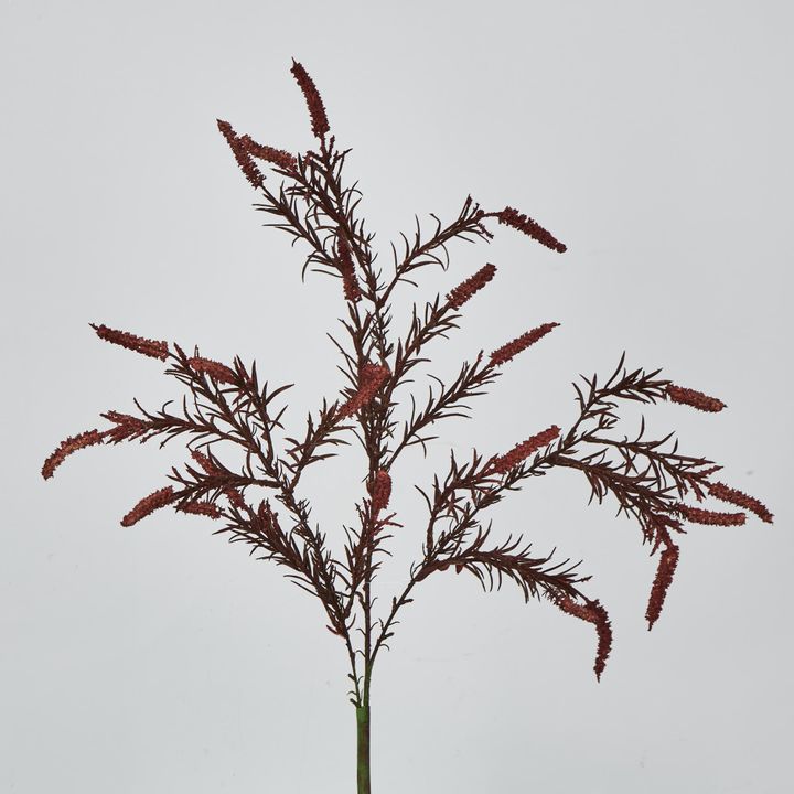 Dark Pink Amaranthus Spray