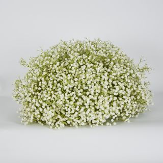 White Gyp Baby Breath Floral Ball